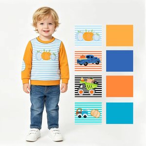 T-shirts personnalisés pour bébés garçons motif citrouille, vente en gros, vêtements pour enfants, boutique, usine, mode enfantine, frères, automne, vêtements pour tout-petits - Product Image 2