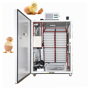 Thiết bị nuôi lồng ấp trứng lồng ấp trứng couveuse oeuf Solaire 5280 trứng Công suất lồng ấp gà và Trại giống - Product Image 5