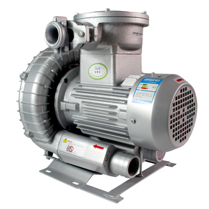 Pompa <span class=keywords><strong>soffiatore</strong></span> ad <span class=keywords><strong>aria</strong></span> <span class=keywords><strong>calda</strong></span> ad alta pressione 1HP 0.75 kw380v <span class=keywords><strong>soffiatore</strong></span> a prova <span class=keywords><strong>di</strong></span> esplosione - Product Image 6