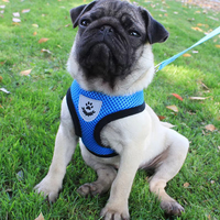 Harnais pour animaux de compagnie en maille respirante avec laisse, gilet réfléchissant réglable pour petits chiens et chats, accessoires de promenade pour chiens en polyester