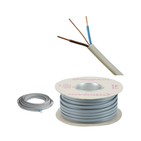 BS6004 Twin Flat Fire Kabel mit Erdung 6242Y 2,5mm Elektrokabel BVVB RVVB TPS CE PVC Elektrisches Kupfer Grau Twin Earth Kabel