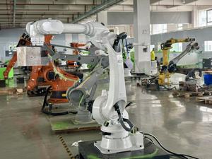 Robots articulados industriales personalizables con efectores finales suministrados por la fábrica para operaciones eficientes de selección y colocación - Product Image 3
