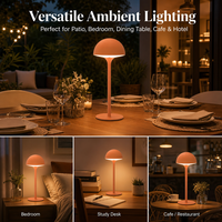 Lampe de table LED rechargeable sans fil ROOMLUX 3W, à intensité variable par toucher, en aluminium, pour restaurant, bar, chambre, hôtel, décoration