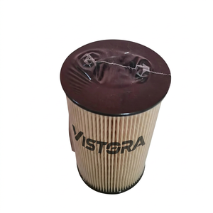 Filtre à huile personnalisé en gros pour camions DAF Hino, modèles 611600080198, 1001362240, 6116000801, 611600070113, 611600080113 - Product Image 2