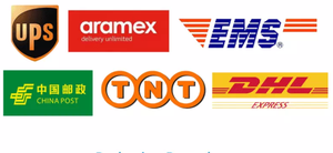 Agente de Frete Marítimo para o Brasil Despachante Aduaneiro para Exportação de Produtos com Tarifas Rápidas e Empresa de Logística Confiável para Importação - Product Image 5