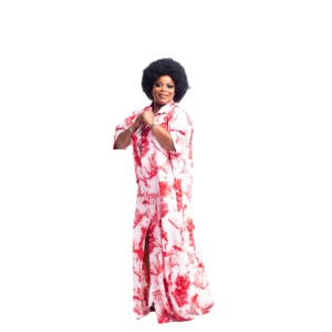 sachin and babi light blue dress Ethiopian Women's Traditional Chiffon Dress with Netela  Habesha Kemis for  Cultural Celebrations & Holidays, Orange Floral Print, Medium : Amazon.ca:  Clothing, Shoes & Accessories