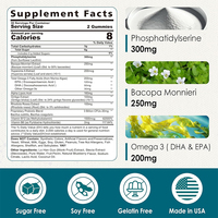 Complément alimentaire en gommes pour le cerveau, marque privée OEM, 10 en 1, phosphatidylsérine, probiotiques, acide alpha-lipoïque, extrait et oméga 3, concentration accrue