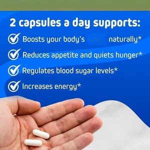 OEM Appelazijn Keto 1500MG IB Zouten Gewichtsverlies Ondersteuning Keto Dieet Supplementen 120 <span class=keywords><strong>Capsules</strong></span> - Product Image 4