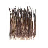 Plumes de faisan collier naturelles en gros, 10-35 cm, en vrac, pour artisanat, décoration, accessoires de fête et de costume