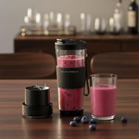 Nouveau Mixeur Portable 500ml Rechargeable USB avec Cordon pour Activités Extérieures