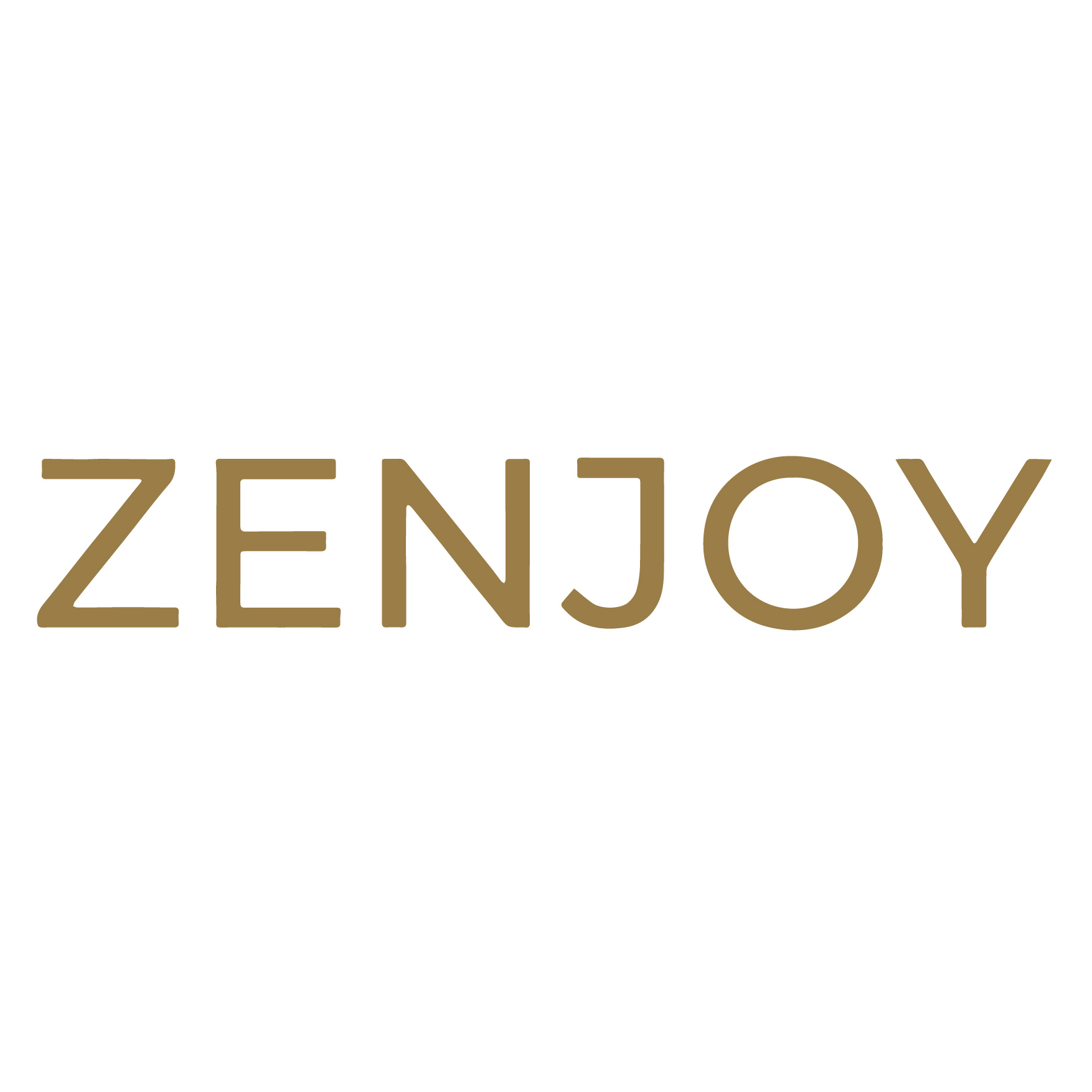 Baoding Zenjoy Sporting Goods Co., Ltd. logo