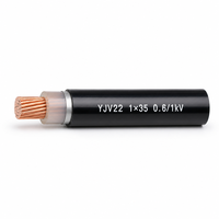 Câble blindé en cuivre XLPE à âme unique YJV22 35mm² 50mm² 0,6/1kV, câble d'alimentation souterrain de grande section