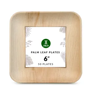 Piatti foglia foglia di palma usa e getta quadrati da 6 pollici (confezione da 50)-antipasti o piatti da Dessert-Design resistente