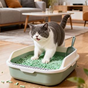 Litière pour chat en tofu, charbon actif, bois, amidon de maïs, jetable, bloc de toilette sans blocage, biodégradable, écologique, sans poussière, supplémentaire - Product Image 1