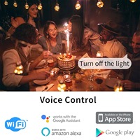 Prise de télécommande étanche WiFi robuste pour l'extérieur avec compatibilité avec assistant vocal Aucun concentrateur requis