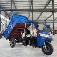 Tricycle de fret en vrac 150cc, moto diesel à trois roues pour concessionnaires et commerçants africains