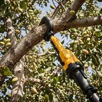 Hotselling 36V draadloze elektrische olijfschudder met telescopische steel, fruitplukker, trilboomenschudder voor noten en pistaches