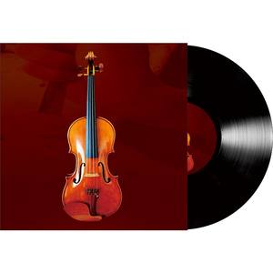 Promotion 7 "10" 12 "LP disque de musique personnalisé pour lecteur de disque vinyle pressage de disque vinyle noir - Product Image 5