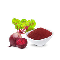 Poudre de racine de betterave sauvage pour une nutrition quotidienne, énergie naturelle, aliment végétal de qualité alimentaire, riche en minéraux et vitamines, pour un mode de vie sain