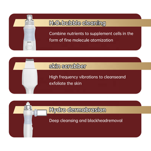 Máquina Facial Profesional 6 en 1 de Microdermoabrasión Hydra con Martillo Frío, Función de Blanqueamiento y Exfoliación para el Área de los Ojos (Tipo de Enchufe IT) - Product Image 2