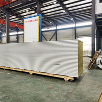 Panneau d'isolation en laine de roche imperméable, panneau sandwich en laine de roche pour l'absorption acoustique et la réduction du bruit dans les ateliers d'usine
