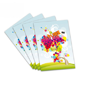 A4 g/m² dicke Flyer Art Glossy Paper Printing Service Schnelle Lieferung