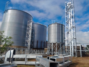 Silos à grains en acier à haute capacité avec galvanisation de 275g à 600g/m² - Product Image 4