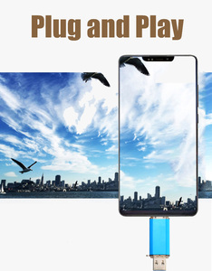 Kim loại USB Loại C OTG ổ đĩa flash 4GB 8GB 16GB 32GB 64GB 128GB tùy chỉnh loại C USB điện thoại thông minh <span class=keywords><strong>Memory</strong></span> <span class=keywords><strong>Stick</strong></span> cho <span class=keywords><strong>iMAC</strong></span> Macbook - Product Image 2