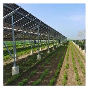 500kw 1mw Photovoltaic Agriculture Solar Panel Mounting Brackets For Farm Greenhouse