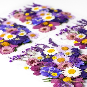 ZS030 Hoa Khô Ép Thật Lá Khô Để Làm Xà Phòng Trang Sức Bằng Nhựa Epoxy Nến Đồ Dùng Thủ Công Mỹ Nghệ - Product Image 4