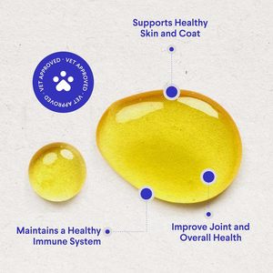 Жидкая добавка для собак с рыбьим/лососевым/крейлловым маслом (Омега-3, EPA, DHA) для улучшения здоровья шерсти, уменьшения выпадения и зуда кожи. OEM/ODM. - Product Image 3