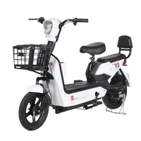 Vélo électrique à batterie plomb-acide 48V12A, vente directe usine, autonomie 40KM, vélo électrique le plus vendu pour les sorties de loisirs du week-end