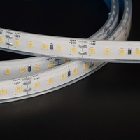 Bande lumineuse LED extérieure à économie d'énergie DC 12V/24V SMD 2835 120LEDs/m IP67 étanche, pleine couleur, avec CRI 83 et dimmable