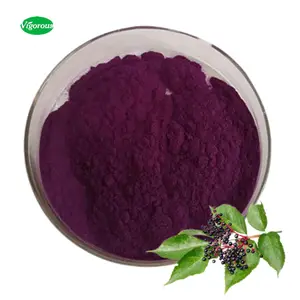 Organic Sambucus Nigra Powder 25%Anthocyanidin Elderberry Juice Extract Powder For Health