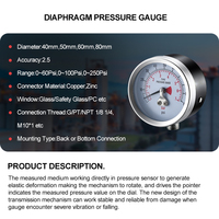 Diaphragm Pressure Gauge Plastic Case Copper Alloy Joint 0-18 bar 40-100mm Radial Axial Mount for Chemical Processing