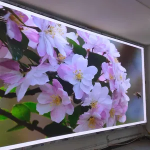 高刷新率4k 8k发光二极管视频会议屏幕站立支持高内部发光二极管显示屏，用于拍摄/会议