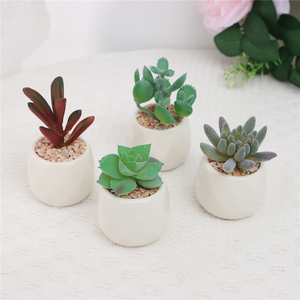 Juego de 4 Plantas Suculentas Artificiales Duraderas en Maceta de Cerámica Blanca para Decoración de Escritorio, Uso Interior/Exterior, Greatflower, MOQ Bajo - Product Image 6