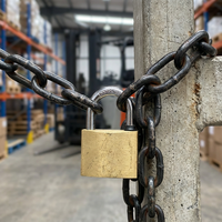Cadenas en laiton de sécurité supérieure pour ordinateur, 40 mm, étanche et robuste