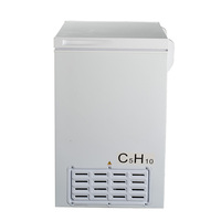Congélateur-chambre froide 100L à porte simple, économe en énergie, pour maison et hôtel