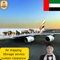 Ligne de transport maritime fiable de la Chine vers Dubaï (Émirats arabes unis) DDP, porte-à-porte, pour les vendeurs et les propriétaires d'entreprises d'e-commerce transfrontalier