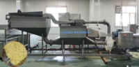 Fabrieksnieuwe cassave- en aardappelchipsmachine met een capaciteit van 1T-4T/uur, productielijn voor diepvriesfrieten te koop, verwerkingsinstallatie.