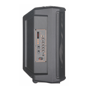Altavoz profesional para exteriores con luces, altavoz grande de 12 pulgadas, fiesta de <span class=keywords><strong>Dj</strong></span> con micrófono, altavoces portátiles para fiesta - Product Image 3