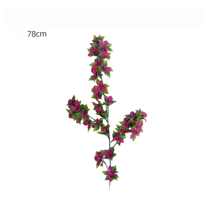 Sun-Resistant Long-Stemmed Purplish-Red Bougainvillea Flower