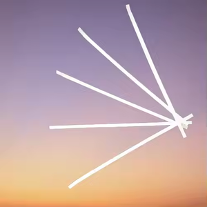 Chống Trộm <span class=keywords><strong>em</strong></span> dải từ nhãn 160mm | hệ thống <span class=keywords><strong>EAS</strong></span> không thể kích hoạt cho các nhà sách, thư viện và cổng an ninh bán lẻ - Product Image 5