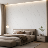 Panel de Cristal de Carbono Blanco Nube, Sistema de Pared Residencial de Lujo Ligero WYRAX