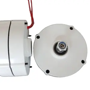 Factory 100W 12v or 24v Permanent Magnet Motor Free Energy Generator