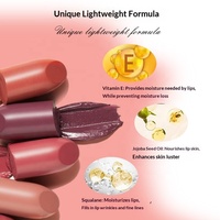 Rouge à lèvres mat vegan longue tenue 24h hydratant et nourrissant, marque privée, vente en gros, cosmétiques Clean Beauty