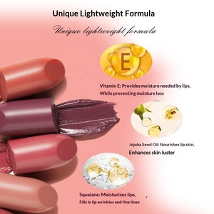 Private Label Matte Lipstick Vegan Waterproof Long Lasting 24H Hydrating Moisturizing Lipstick Wholesale Clean Beauty <strong>Cosmetics</strong> - Product Image 3