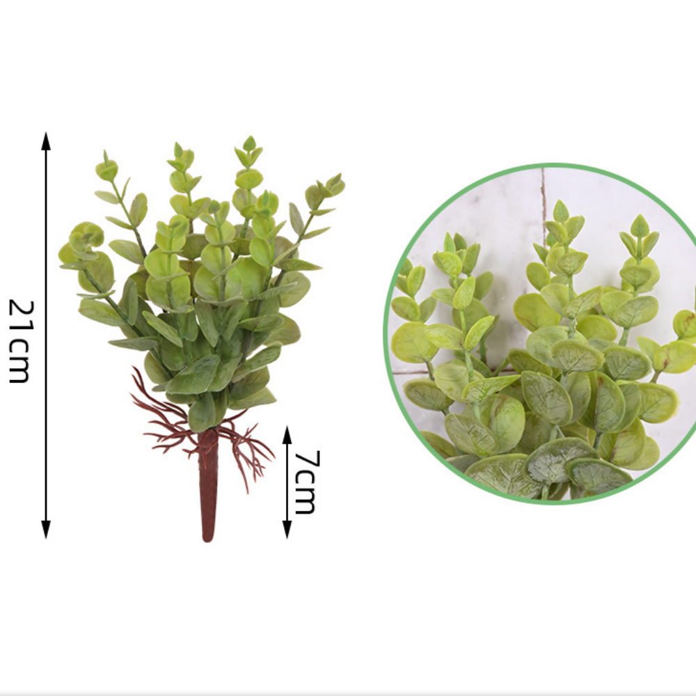 Piccola foglia di eucalipto
