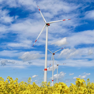 Prix de gros pour Centrale Éolienne Horizontale 700KW, 500KW, 1000KW - Product Image 3